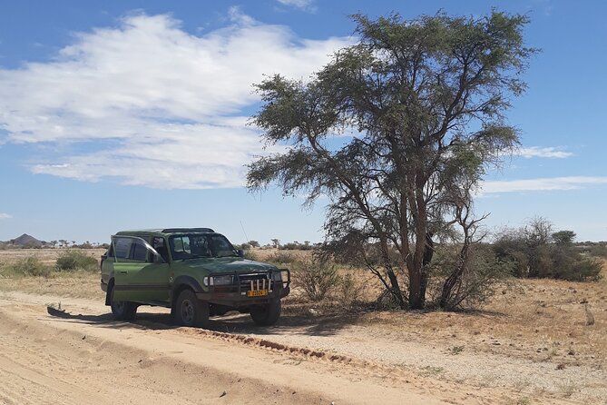 Spitzkoppe Day Tour From Swakopmund - Negative Feedback