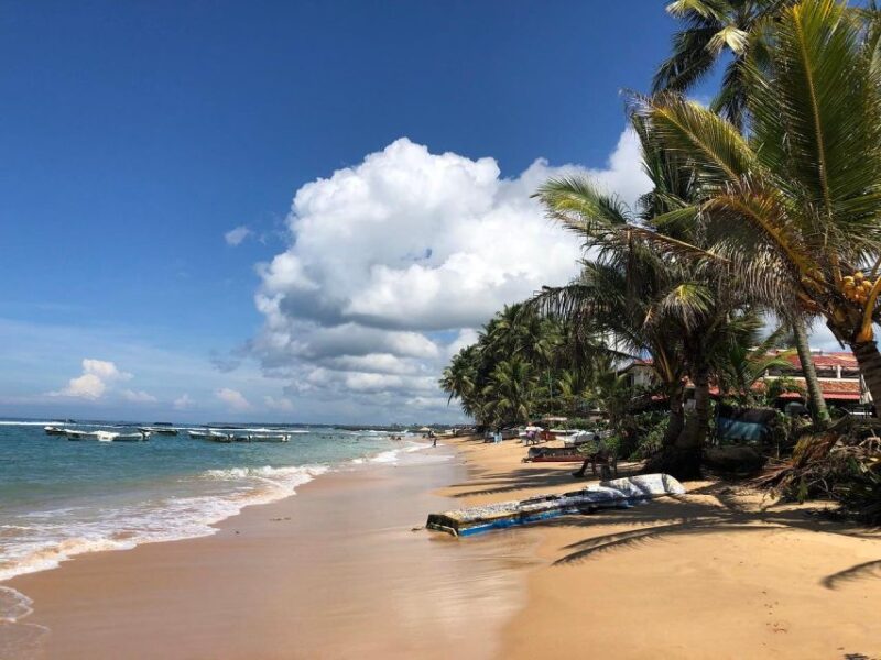 Sri Lank Galle Tour With 3-Hour Surfing With an Instructor - Inclusions and Exclusions