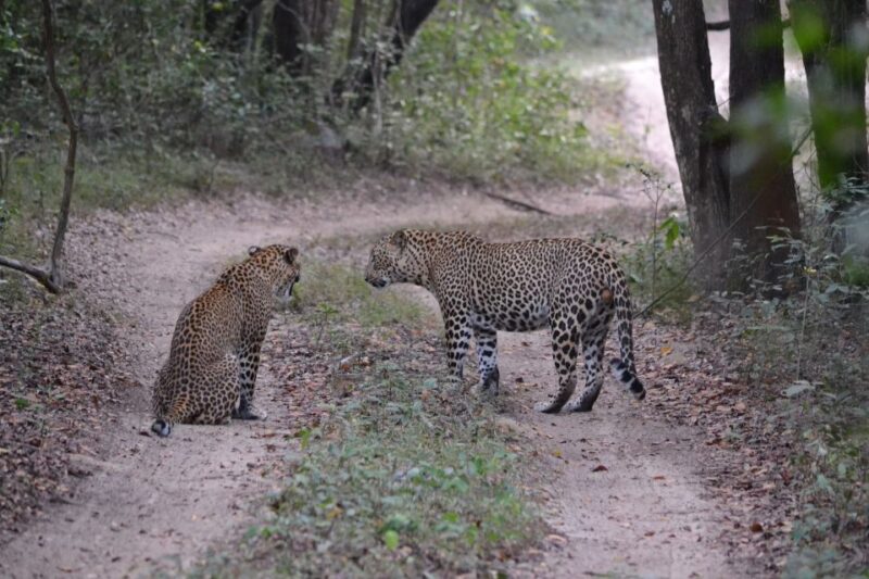 Sri Lanka 2-Day National Parks Trip - Inclusions and Important Information
