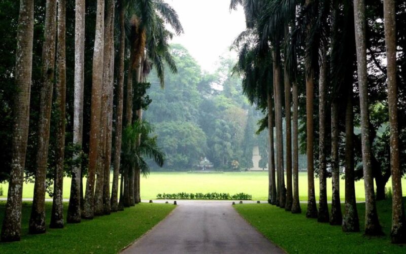 Sri Lanka Hill Country Bless Kandy, Nuwara Eliya and Ella - Important Information