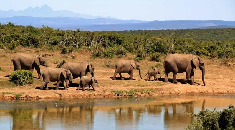 Sri Lanka Nature, Culture, History and Wildlife in 4 Days - Pinnawala Elephant Orphanage