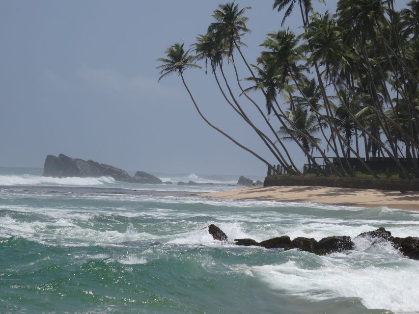 Sri Lanka South Coast Beach, Sinharaja, Udawalawe Safari - Important Information