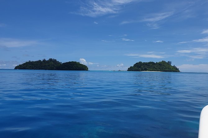 St Anne Marine Park & Moyenne Island, Creole Lunch (Private Boat) - Customer Reviews and Feedback