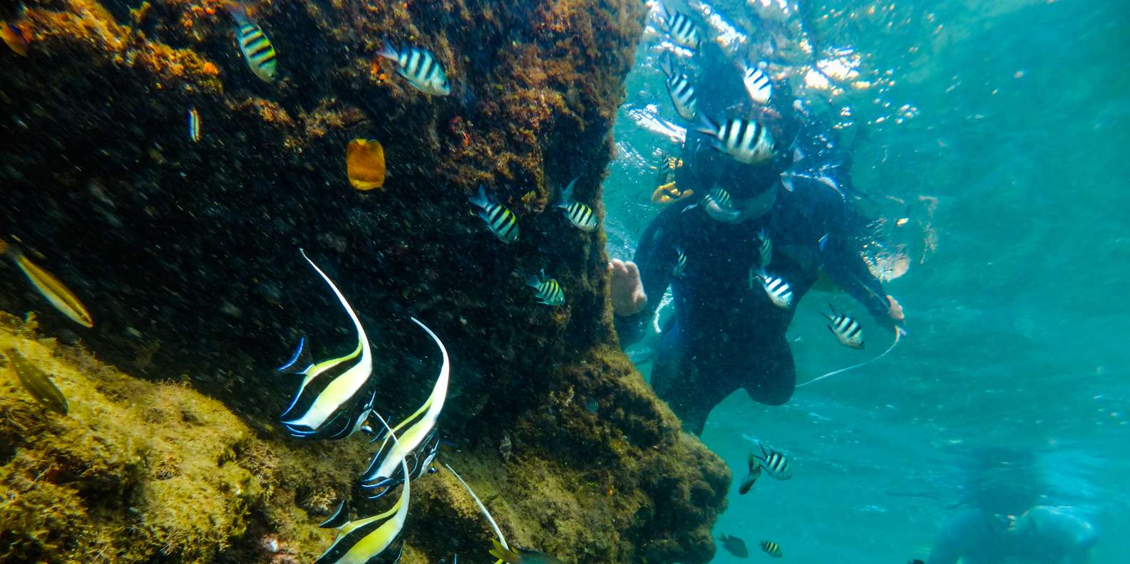 St. Lucia: Cape Vidal Snorkeling Adventure - Customer Ratings and Feedback