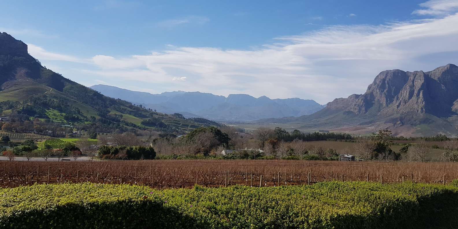 Stellenbosch Mavericks Wine Tasting Tour - Traveler Information