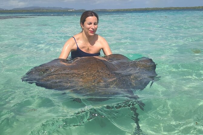 Stingray City Experience Antigua - ONLY TICKET - Notable Comments