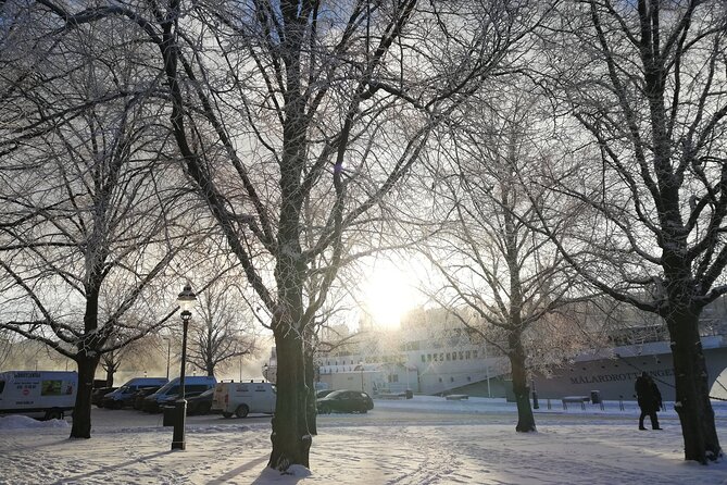 Stockholm Christmas Tour and Food Experience Review - Positive Review Highlights