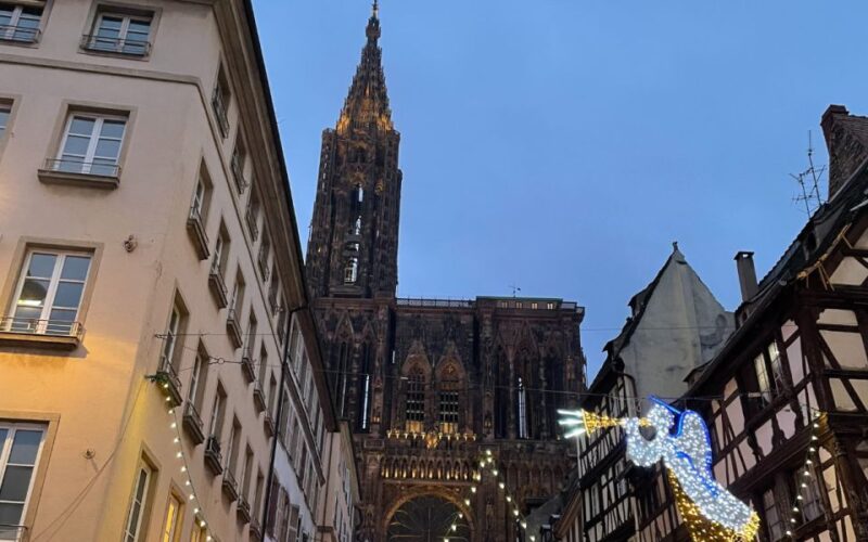 Strasbourg: Christmas Markets Walking Tour With Mulled Wine - Festive Stalls and Delicacies