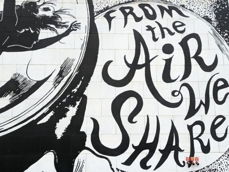 Strasbourg: Street-Art Tour - Artistic Techniques