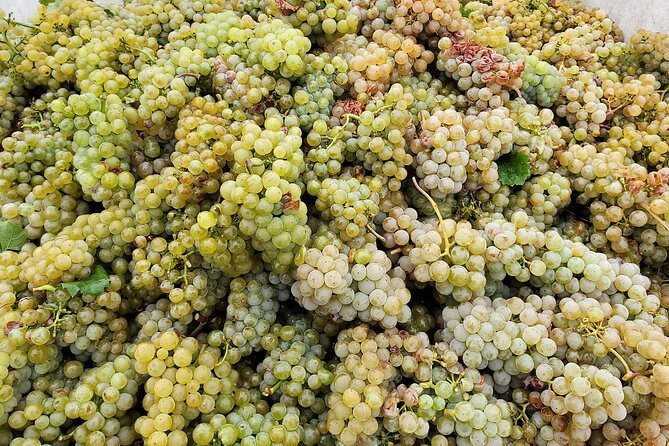 Summerland Private Wine Tour - Full Day - Explore Summerland Wineries