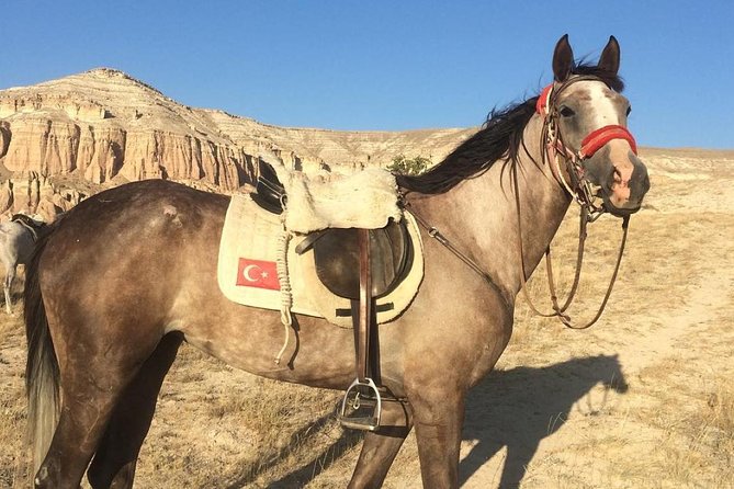 Sunrise Horseback Riding Tour in Cappadocia Review - Since You Asked