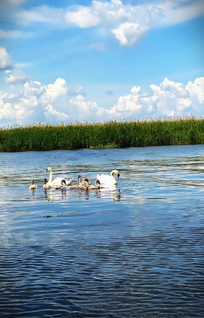 Sunrise ,sunset in the Danube Delta ,Caraorman - Tour Options for Travelers