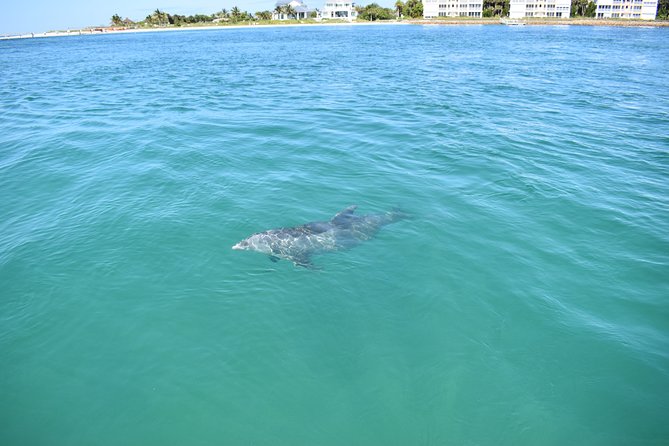 Sunset and Dolphin Cruise Around Fort Myers Beach - Meeting Point and Logistics