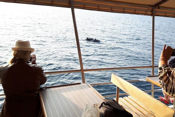 Sunset Dolphin Watching Boat Tour Review - Customer Feedback and Ratings