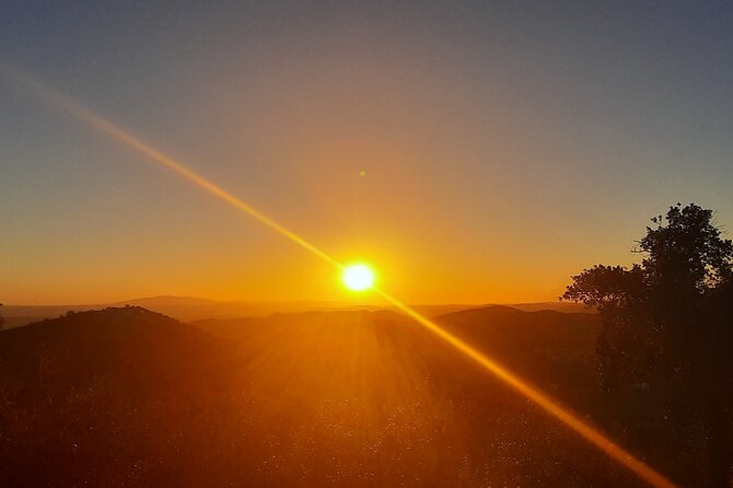 Sunset Safari 4H - Highlights of the Tour