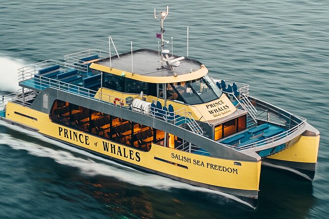 Sunset Whale Watching Adventure From Victoria - Wildlife Sightings