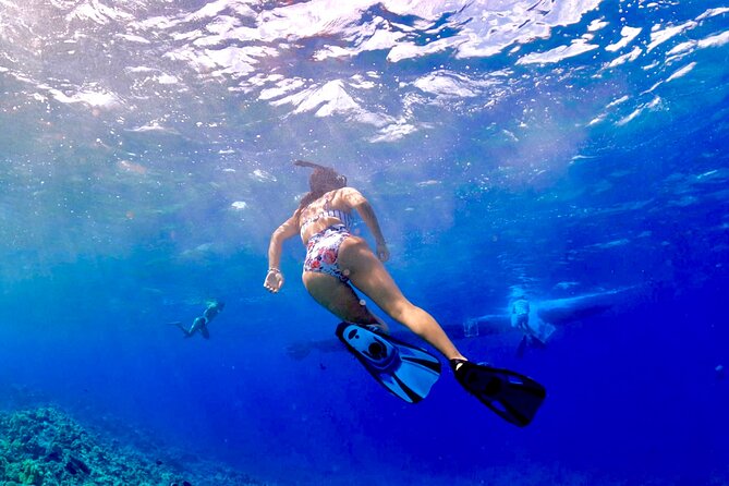 Super Raft - Private Charter Maui 3 Hour Snorkel to Coral Gardens or Molokini - Health and Safety Protocols