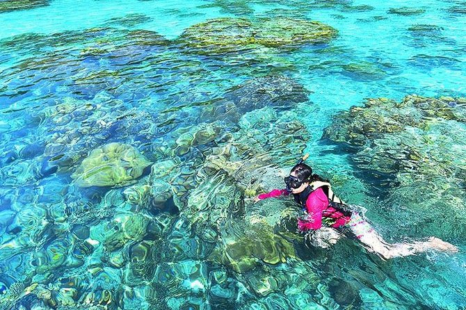 Surin Islands Snorkeling Day Trip By Love Andaman From Khao Lak - Important Considerations