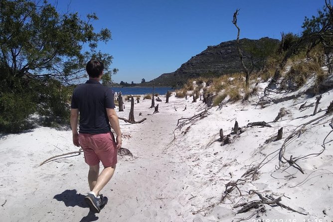 Table Mountain Hike (All Routes) - Private Tour - Scenic Views From the Summit