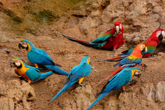 Tambopata National Reserve Tour (3 Days) - Frequently Asked Questions