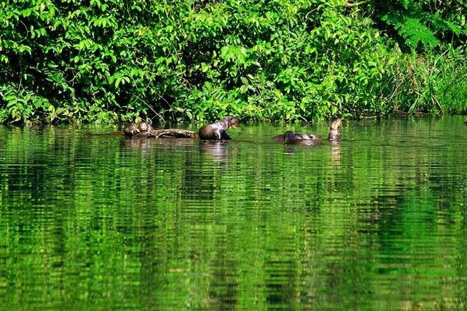 Tambopata (Puerto Maldonado) 5 Days - Cultural Immersion Activities