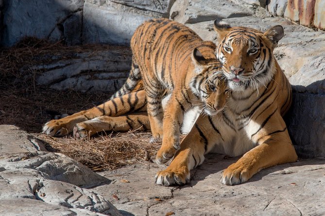 Tampas ZooQuarium Admission - Visitor Reviews Summary