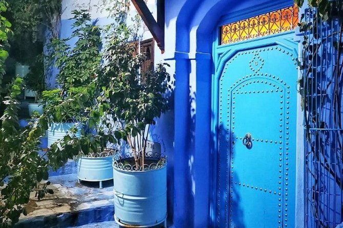Tangier Private Day Tour, Cap Spartel Drive & Camel Ride Included - Customer Reviews and Ratings