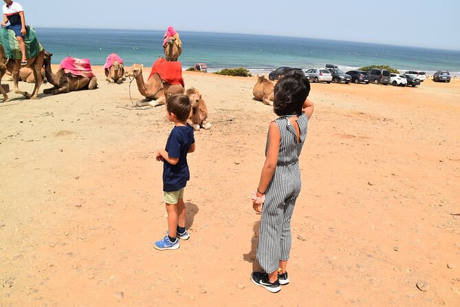 Tangier Private Tour From Malaga or Marbella W/ Guide and Driver - Cultural Immersion Experiences