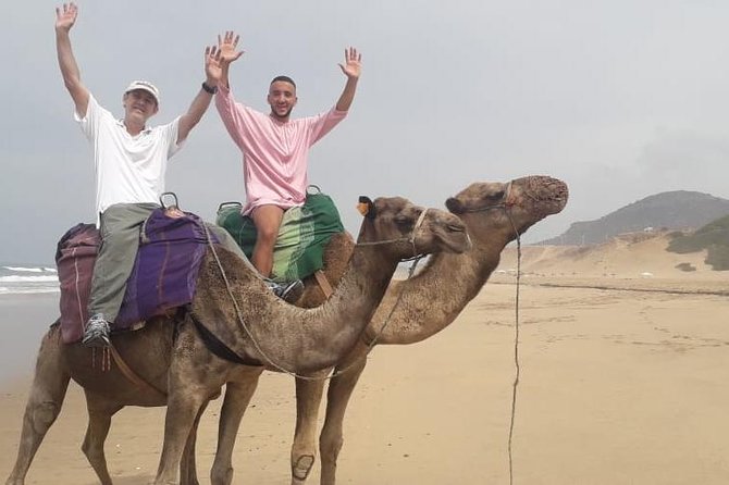 Tangier Tour From Casablanca by High Speed Train - Savoring Lunch Experience