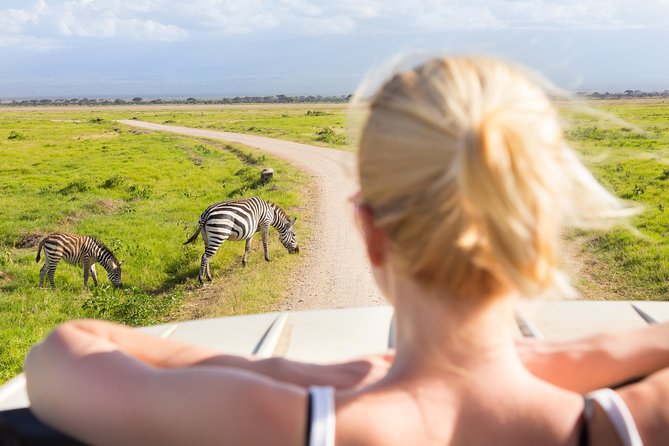 Tanzania Simba Safari - 5 Days - Travel Tips and Recommendations
