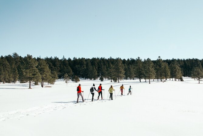 Taos Backcountry Snowshoe Tour - Trailhead Location and Elevation
