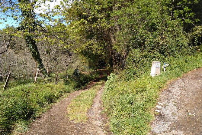 Taste of the Camino De Santiago - Pricing and Booking Details