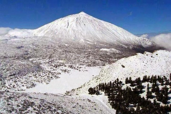 Teide-Icod-Garachico-Masca (Most Popular Bus Tour in Tenerife) - Tour Logistics