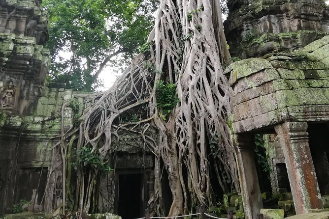 Temple Classic Tour-Small Circuit Tour of Angkor Archaeological Park-Siem Reap - Health and Accessibility Information