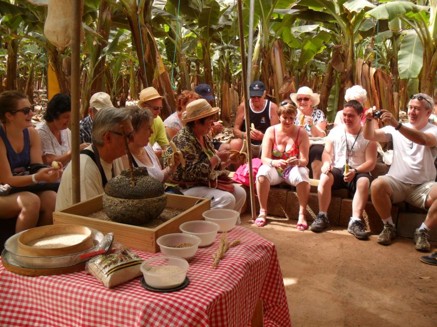 Tenerife: Finca Las Margaritas Banana Plantation Experience - Customer Feedback Highlights