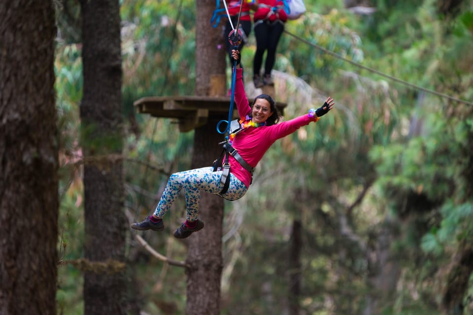 Tenerife: Forestal Park Tenerife Entry Ticket - Forest and National Park Highlights