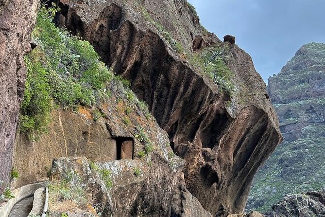 Tenerife: Hiking Tour in Anaga Mountains & Enchanted Forest - Traveler Photographs