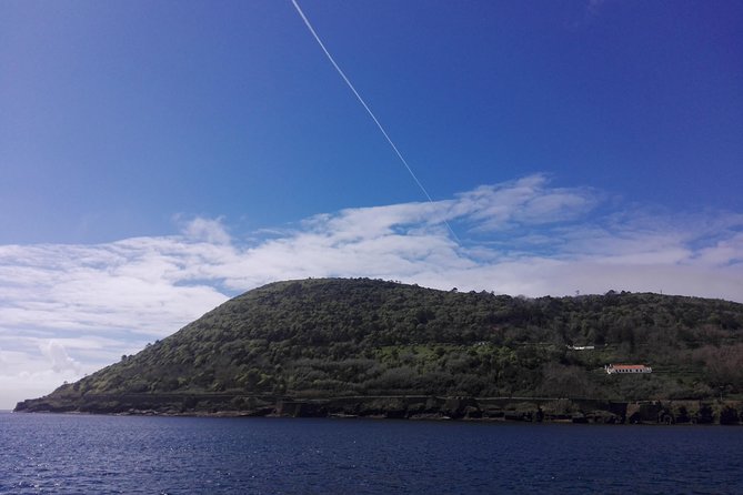 Terceira Island Full Day Tour - Group Size and Languages