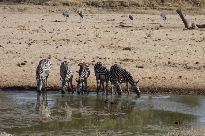The Amaizing Private Day Trip to the Lovely Arusha National Park - Considerations and Recommendations