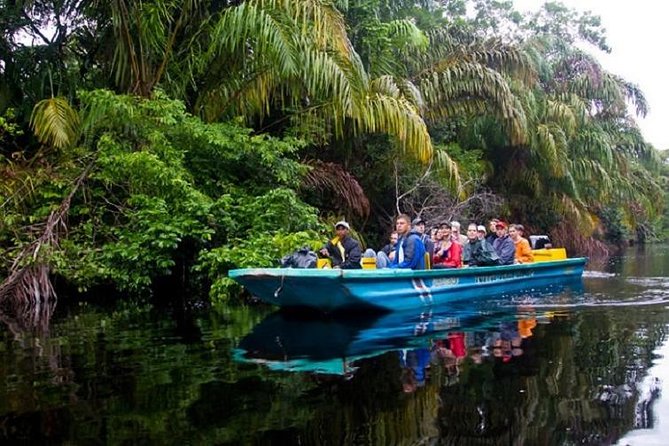 The Authentic Tortuguero National Park One Day Tour - Customer Feedback