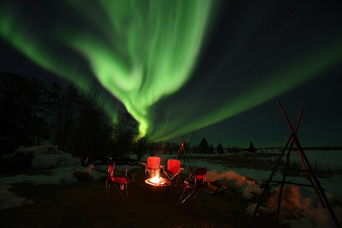 The Best Aurora Tour - Choosing the Right Tour