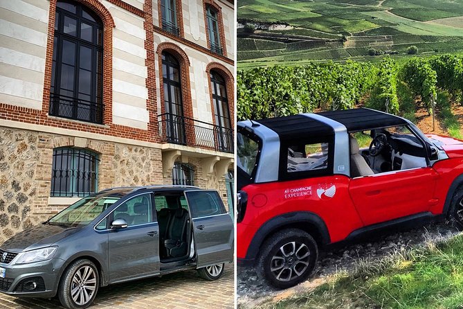 The Connoisseurs From Reims (Private Half Day Tour) - Accessibility and Private Experience