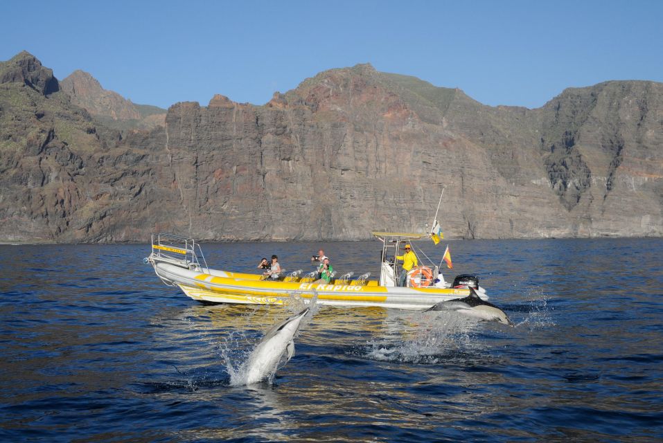 The Giants: Dolphin and Whale-Watching Speedboat Tour - Customer Reviews