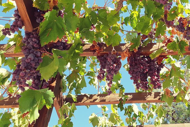 The Grape Escape: Troodos Mountains Thru Wine Small Group Tour 7hrs - Traditional Village Exploration
