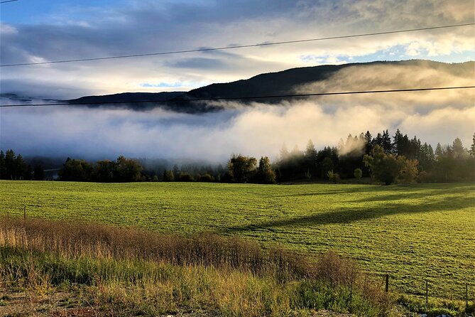 The Great Forest Immersion Tour in Canada - Meeting Point and Accessibility