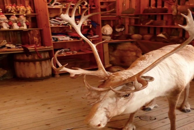 The North Cape, Reindeer and Sami Families Tour - Operator Information