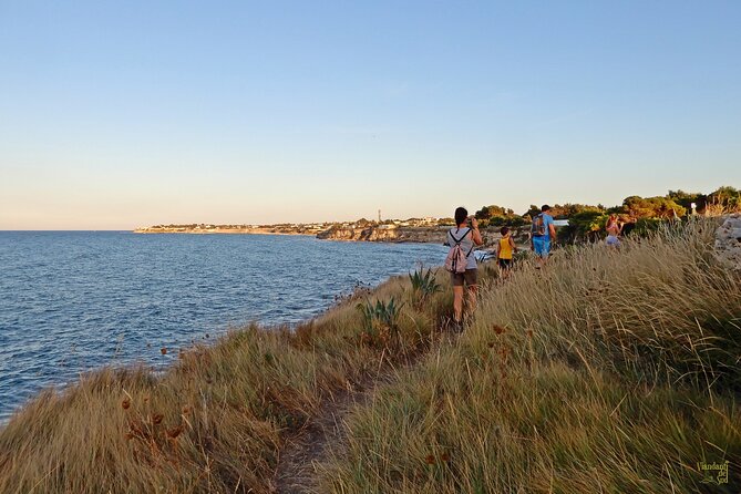 The Path of the Cliffs: Torre Olivieri and the Gruccione Bay - Transportation and Meeting Points