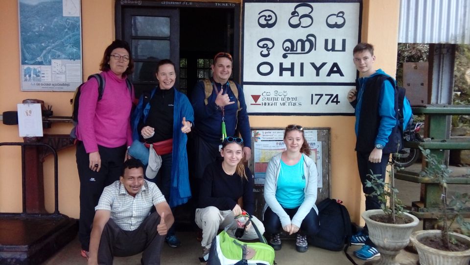 The Pekoe Trail, Stage 12, Trekking Fm Udaweriya To Haputale - Scenic Tea Plantation Views