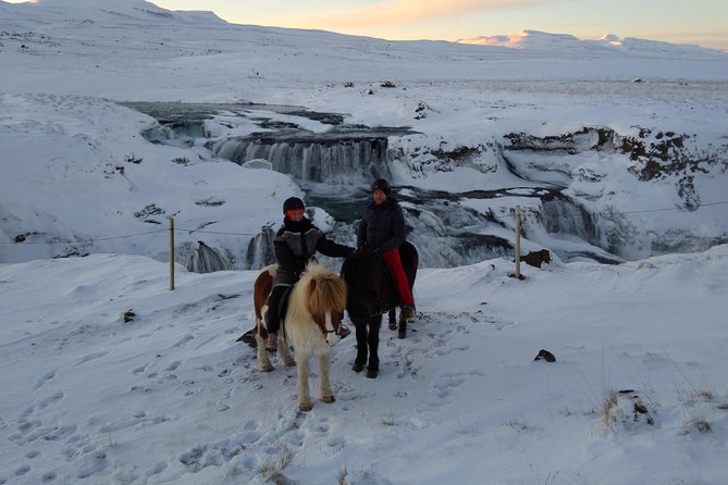 The Viking Horse Riding Experience in North Iceland - Booking and Availability