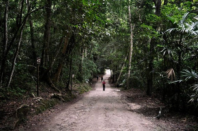 Tikal and Yaxha Exclusive Private Tour From Flores - Journey to Yaxha